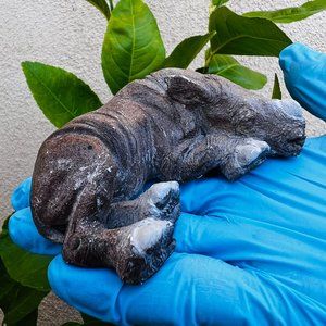 Baby Rhino Replica Small Sculpture Statue Animal Collectible